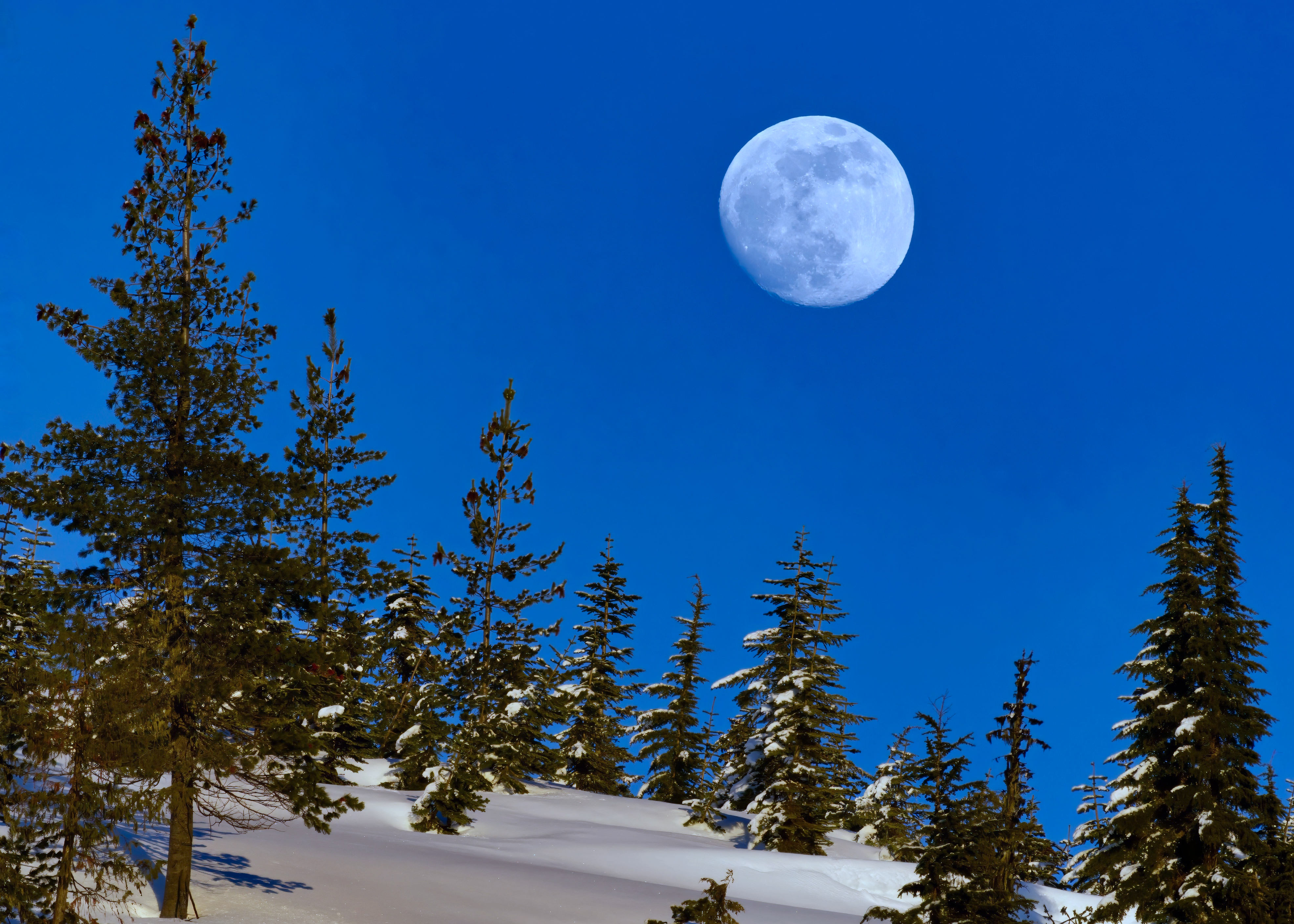  Winter Moon 
